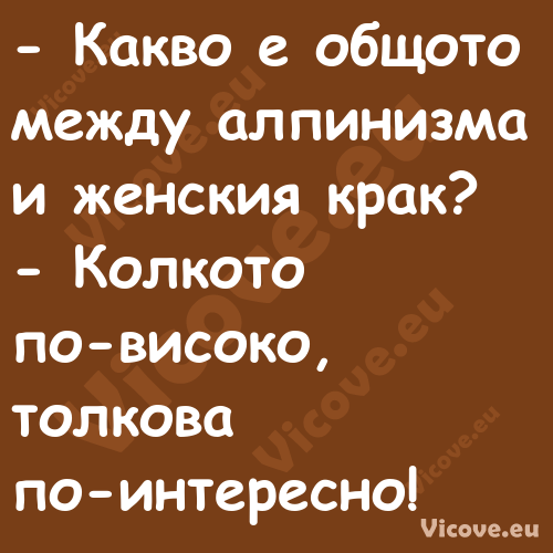  Какво е общото между алпинизм...