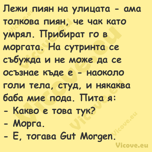 Лежи пиян на улицата ама толк...