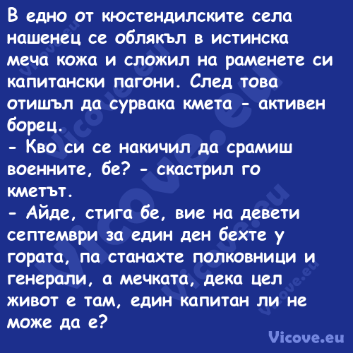 В едно от кюстендилските села н...