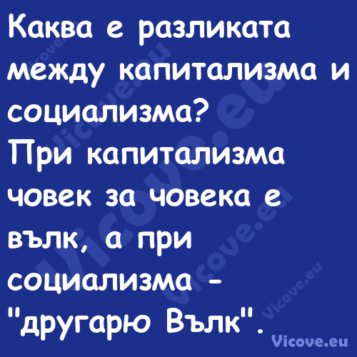 Каква е разликата между капитал...