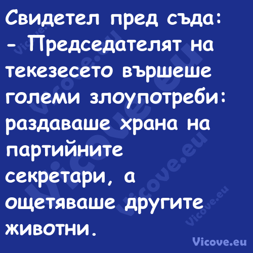 Свидетел пред съда: Предсе...