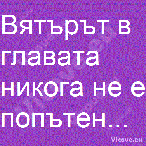 Вятърът в главата никога не е попътен...