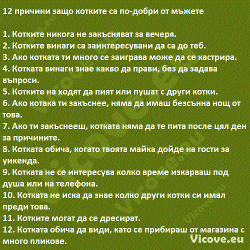 12 причини защо котките са по-добри от мъжете