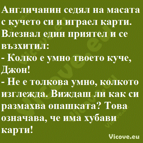 Англичанин седял на масата с кучето си