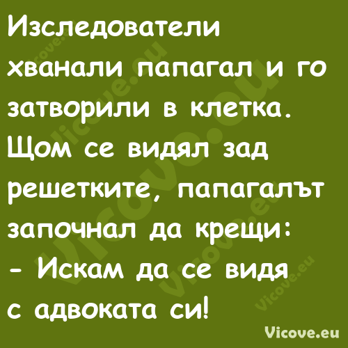 Изследователи хванали папагал и...