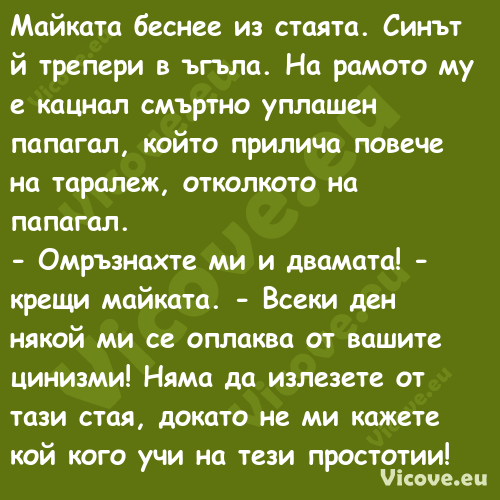 Майката беснее из стаята. Синът...