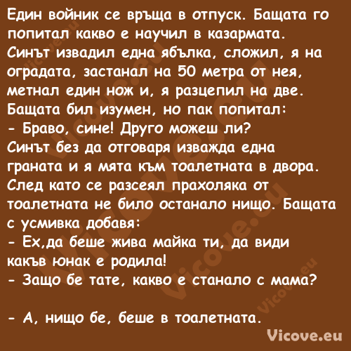 Един войник се връща в отпуск. ...