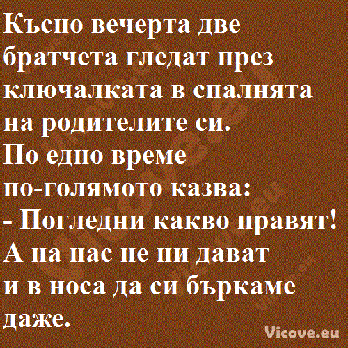 Късно вечерта две братчета гледат през ключалката