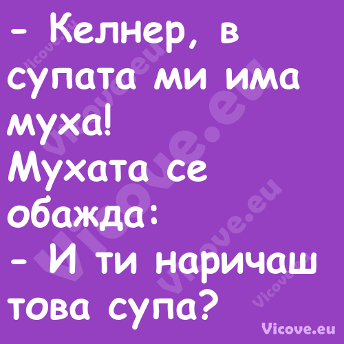  Келнер, в супата ми има муха!...