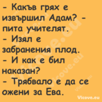  Какъв грях е извършил Адам? ...