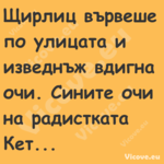 Щирлиц вървеше по улицата и изв...