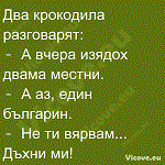 Два крокодила разговарят