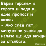 Върви таралеж в горатa и пада в...