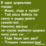 В едно щъркелово гнездо: М...