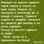 Намерил си веднъж гарванът парч...