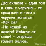 Два охлюва един гол и един с ...