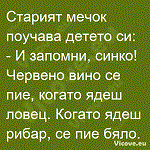 Старият мечок поучава детето си