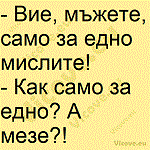 Вие, мъжете, само за едно мислите