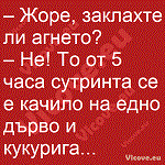 Жоре, заклахте ли агнето?