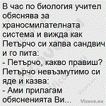 В час по биология учител обяснява за храносмилателната система