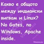 Kакво е общото между индиански ...