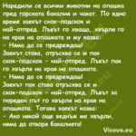 Наредили се всички животни на о...