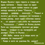 Върви Вълкът през гората и глед...