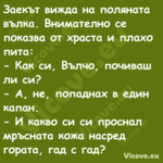 Заекът вижда на поляната вълка....