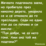 Мечката подгонила заека, но про...