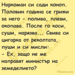 Наркоман си сади коноп. Половин...