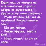 Един луд се катери на най висок...