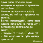 Един слон стъпкал един мравуняк...