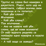 Трупът на слона бил намерен в д...