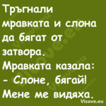 Тръгнали мравката и слона да бя...