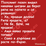 Полският пазач видял някакви ци...