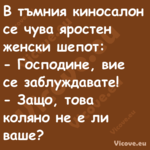 В тъмния киносалон се чува ярос...