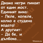 Двама негри пикаят от един мост...