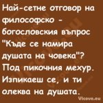 Най сетне отговор на философско...