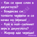  Как се крие слон в джунглата?...