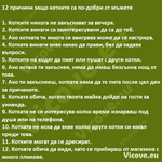 12 причини защо котките са по-добри от мъжете