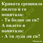 Кравата срещнала пилето